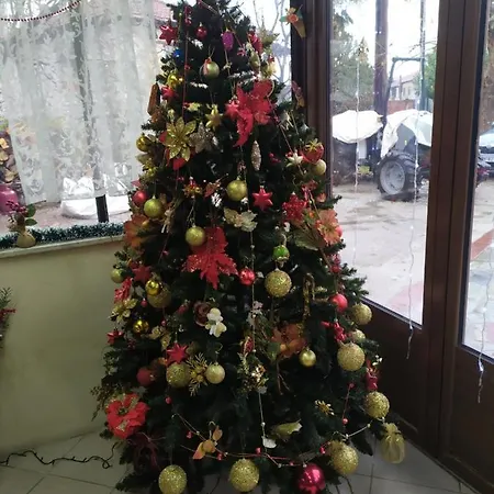 σετσκοσ ζησησ Apartmán *