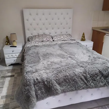 σετσκοσ ζησησ *