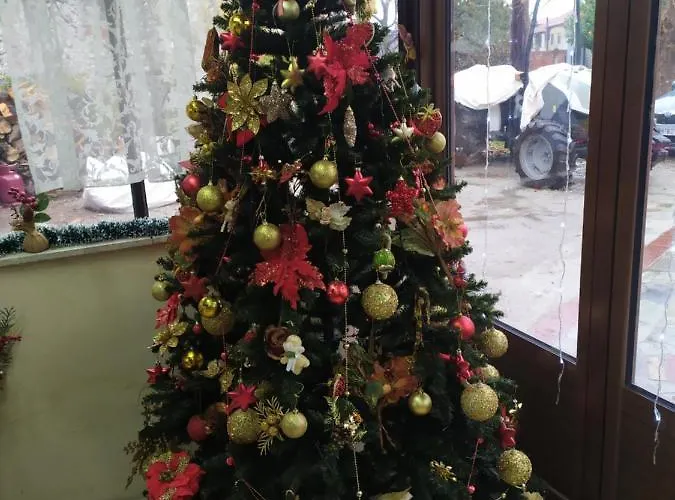 σετσκοσ ζησησ 公寓 *