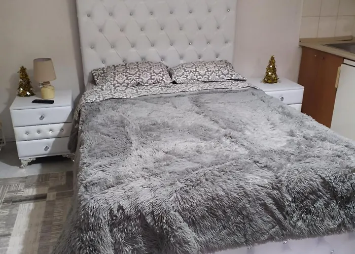 σετσκοσ ζησησ *